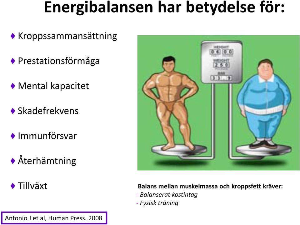 Återhämtning Tillväxt Balans mellan muskelmassa och kroppsfett