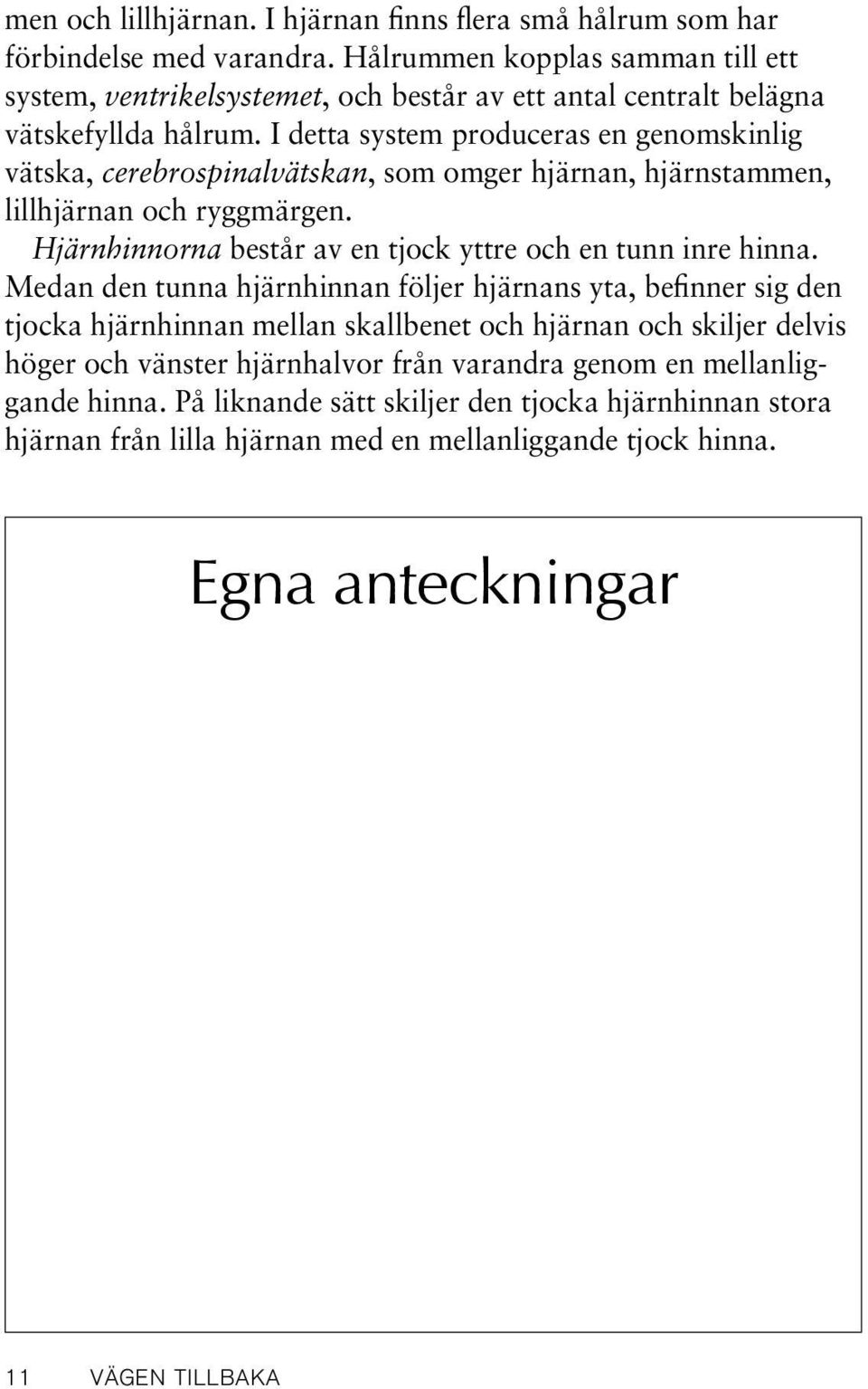 I detta system produceras en genomskinlig vätska, cerebrospinalvätskan, som omger hjärnan, hjärnstammen, lillhjärnan och ryggmärgen.