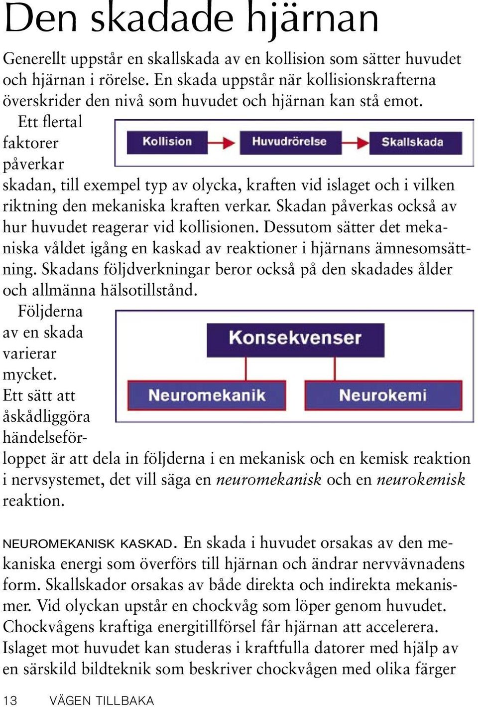 Ett flertal faktorer påverkar skadan, till exempel typ av olycka, kraften vid islaget och i vilken riktning den mekaniska kraften verkar. Skadan påverkas också av hur huvudet reagerar vid kollisionen.