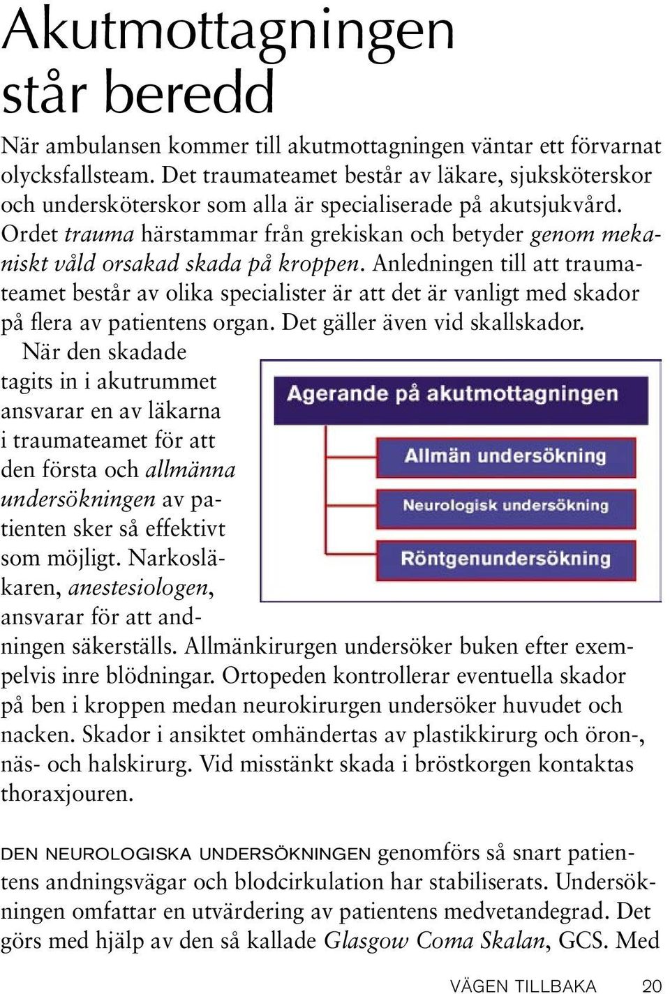 Ordet trauma härstammar från grekiskan och betyder genom mekaniskt våld orsakad skada på kroppen.