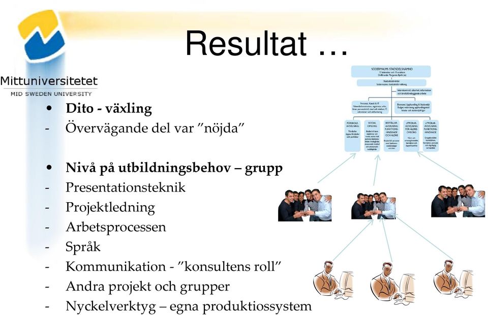 Arbetsprocessen Språk Kommunikation konsultens roll Andra