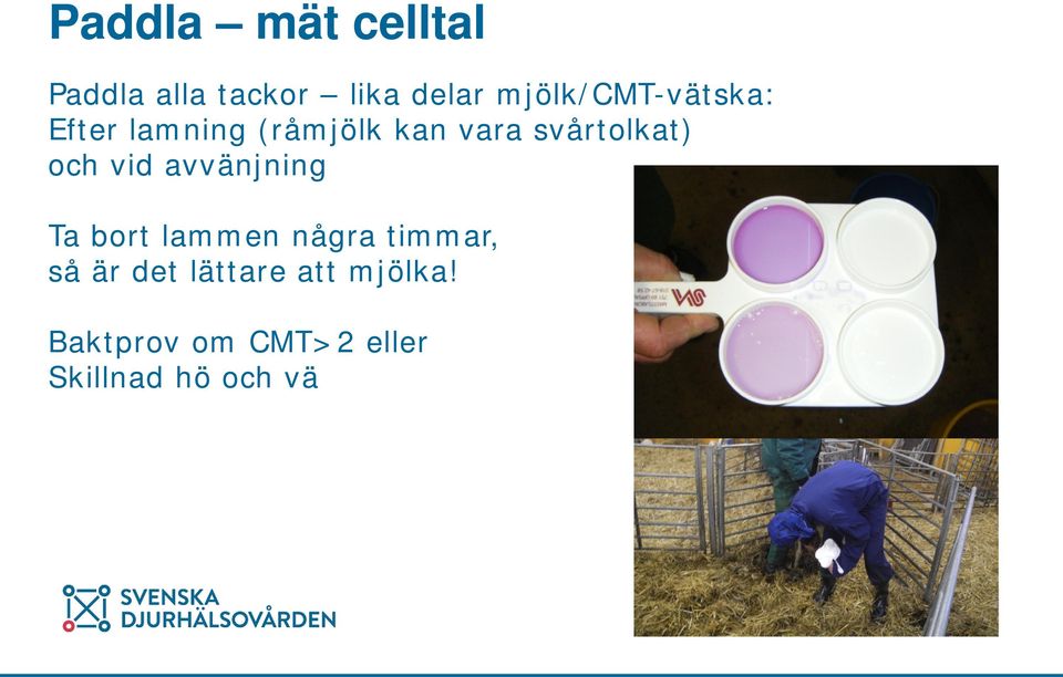 svårtolkat) och vid avvänjning Ta bort lammen några