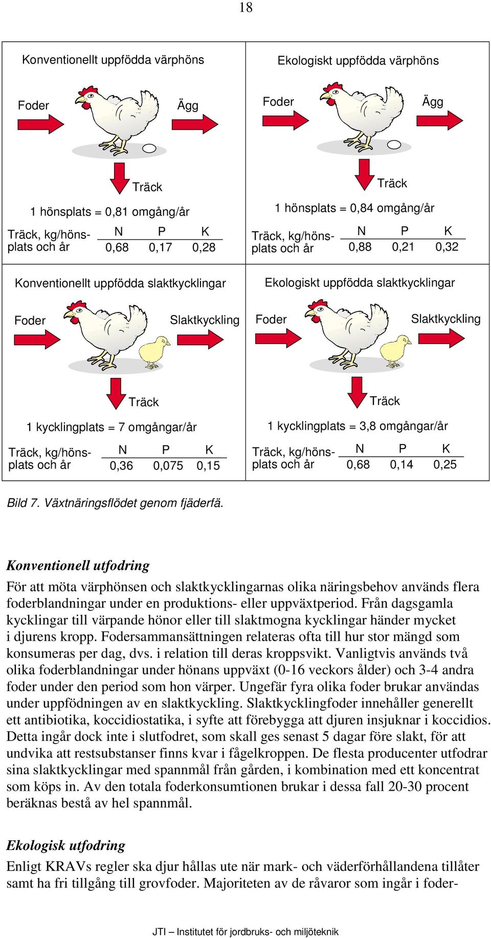 7 omgångar/år Träck, kg/hönsplats och år N P K 0,36 0,075 0,15 Träck 1 kycklingplats = 3,8 omgångar/år Träck, kg/hönsplats och år N P K 0,68 0,14 0,25 Bild 7. Växtnäringsflödet genom fjäderfä.