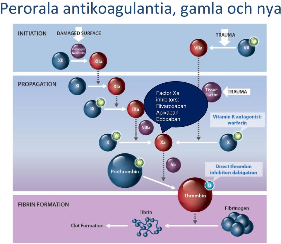 inhibitors: Rivaroxaban