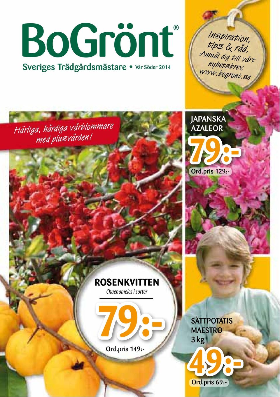 se Härliga, härdiga vårblommare med plusvärden!