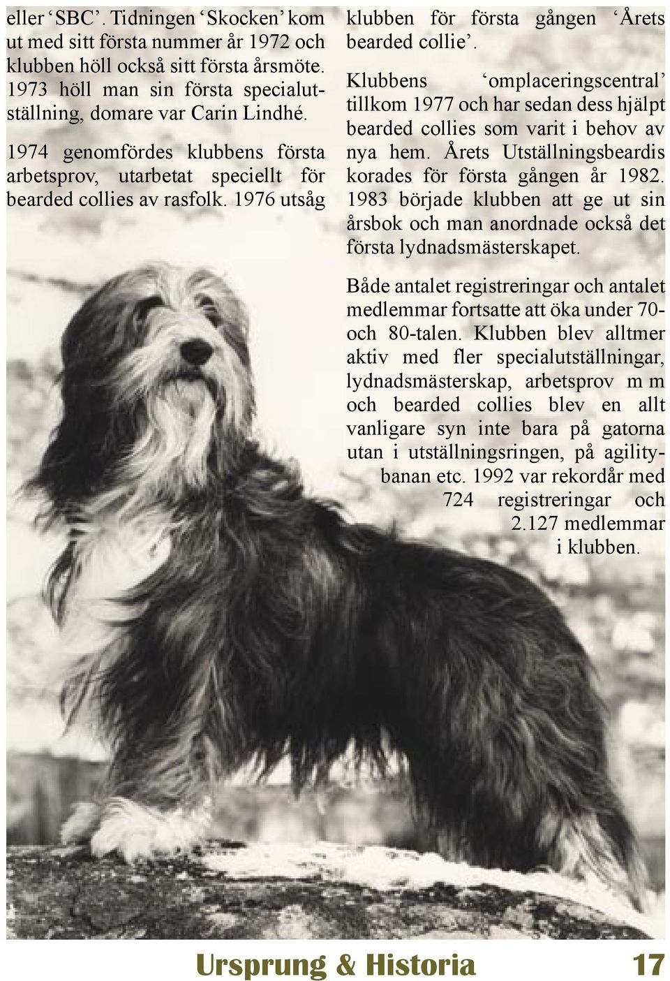 Klubbens omplaceringscentral tillkom 1977 och har sedan dess hjälpt bearded collies som varit i behov av nya hem. Årets Utställningsbeardis korades för första gången år 1982.