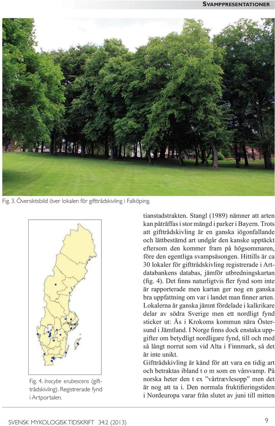 Trots att gifttrådskivling är en ganska iögonfallande och lättbestämd art undgår den kanske upptäckt eftersom den kommer fram på högsommaren, före den egentliga svampsäsongen.