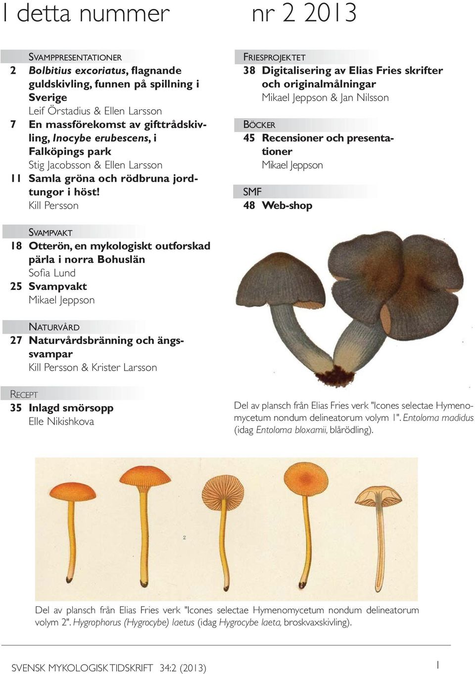 Kill Persson FRIESPROJEKTET 38 Digitalisering av Elias Fries skrifter och originalmålningar Mikael Jeppson & Jan Nilsson BÖCKER 45 Recensioner och presentationer Mikael Jeppson SMF 48 Web-shop