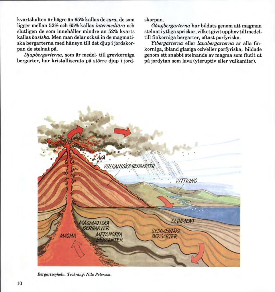 Djupbergarterna, som är medel- till grovkorniga bergarter, h a r kristalliserats på större djup i jordskorpan.