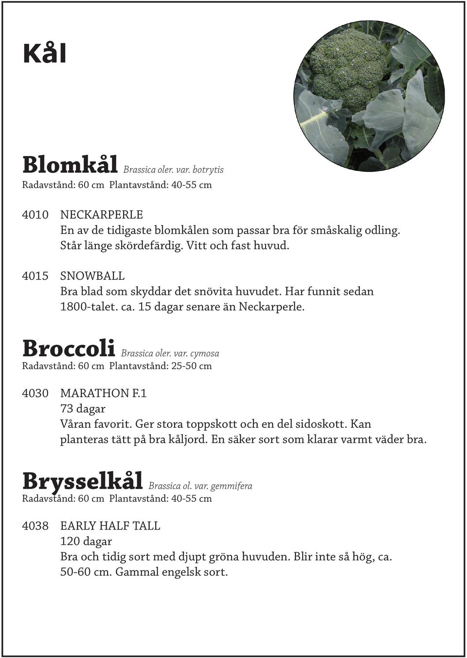 cymosa Radavstånd: 60 cm Plantavstånd: 25-50 cm 4030 MARATHON F.1 73 dagar Våran favorit. Ger stora toppskott och en del sidoskott. Kan planteras tätt på bra kåljord.