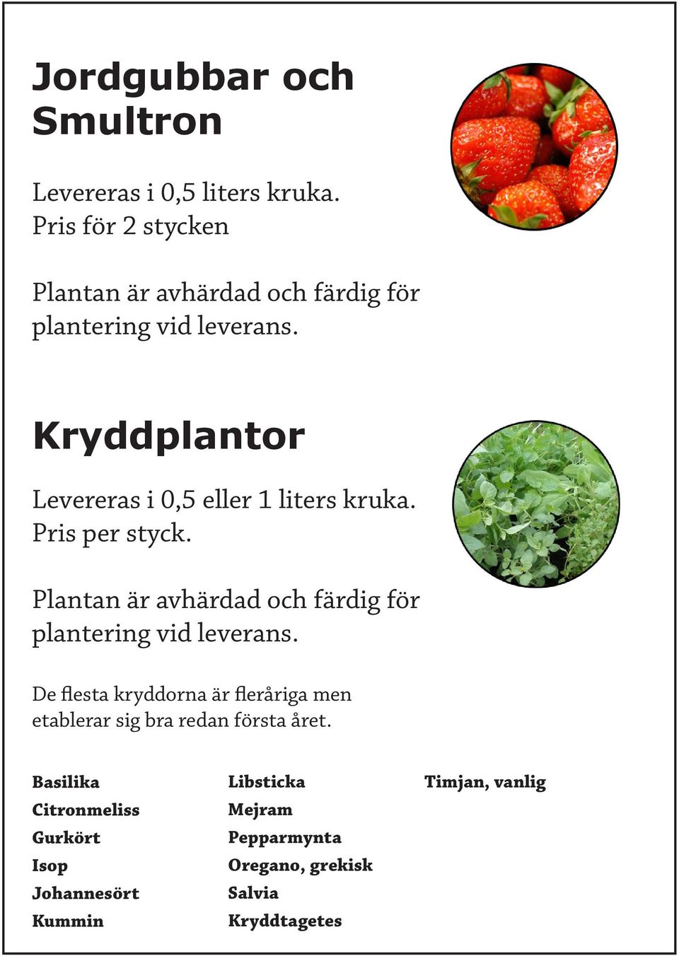 Kryddplantor Levereras i 0,5 eller 1 liters kruka. Pris per styck.