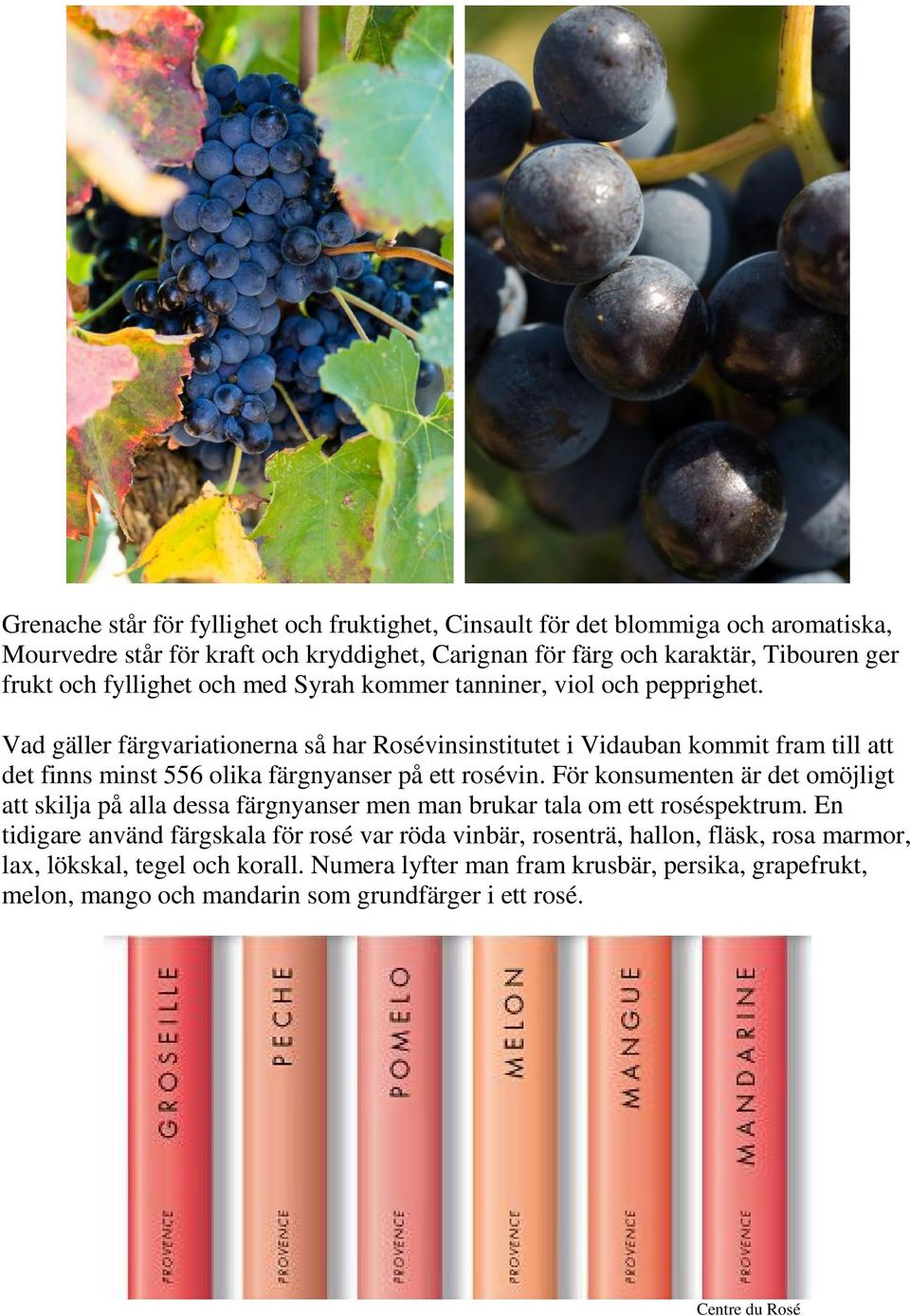 Vad gäller färgvariationerna så har Rosévinsinstitutet i Vidauban kommit fram till att det finns minst 556 olika färgnyanser på ett rosévin.
