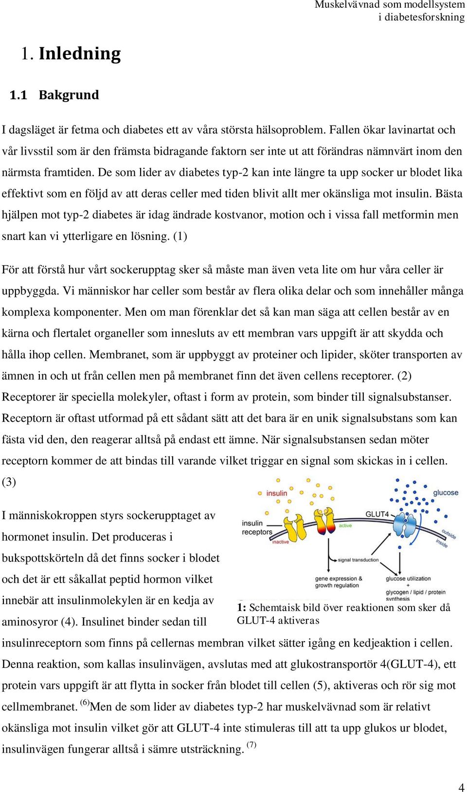 De som lider av diabetes typ-2 kan inte längre ta upp socker ur blodet lika effektivt som en följd av att deras celler med tiden blivit allt mer okänsliga mot insulin.