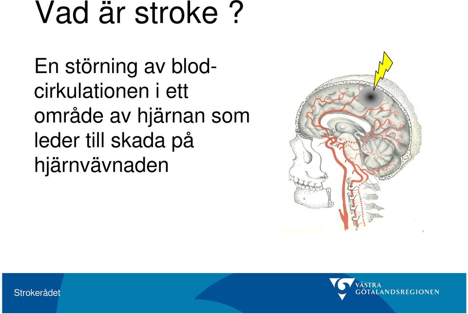 blodcirkulationen i ett