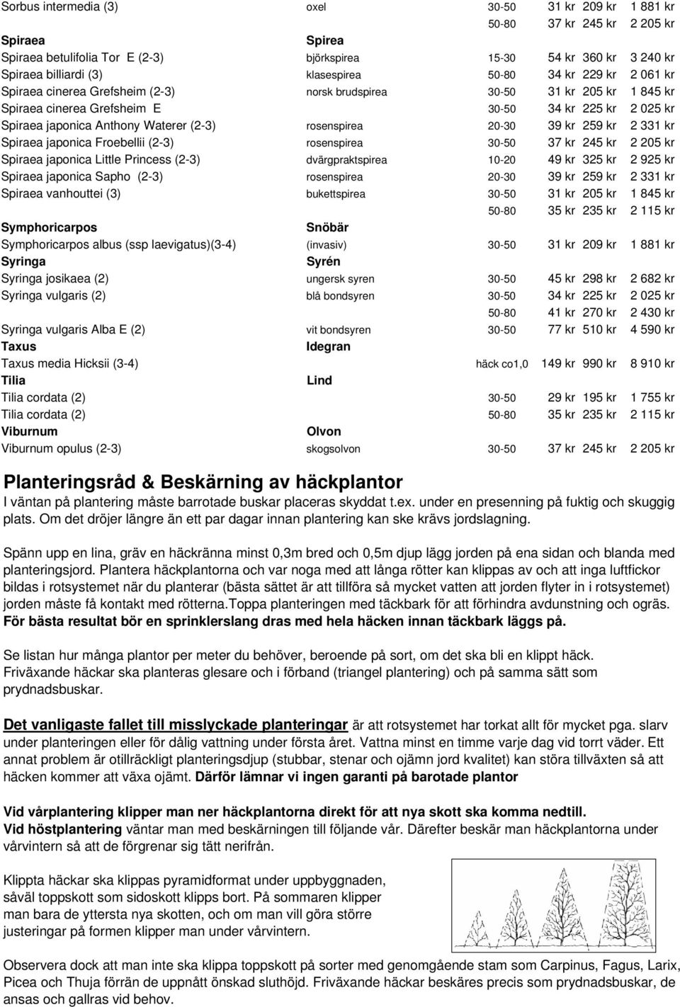 Waterer (2-3) rosenspirea 20-30 39 kr 259 kr 2 331 kr Spiraea japonica Froebellii (2-3) rosenspirea 30-50 37 kr 245 kr 2 205 kr Spiraea japonica Little Princess (2-3) dvärgpraktspirea 10-20 49 kr 325