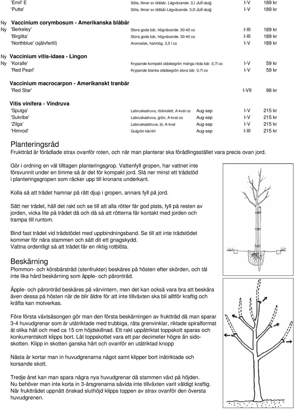 30-40 co I-III 189 kr 'Northblue' (självfertil) Aromatisk, halvhög. 3,5 l co I-V 189 kr Ny Vaccinium vitis-idaea - Lingon Ny 'Koralle' Krypande kompakt städsegrön många röda bär.