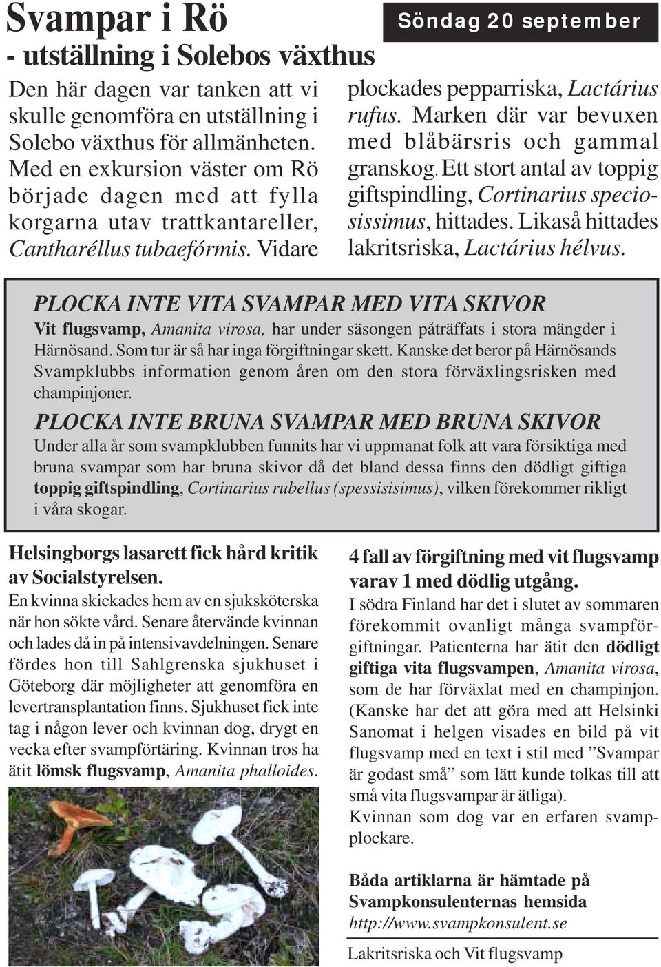 Marken där var bevuxen med blåbärsris och gammal granskog. Ett stort antal av toppig giftspindling, Cortinarius speciosissimus, hittades. Likaså hittades lakritsriska, Lactárius hélvus.