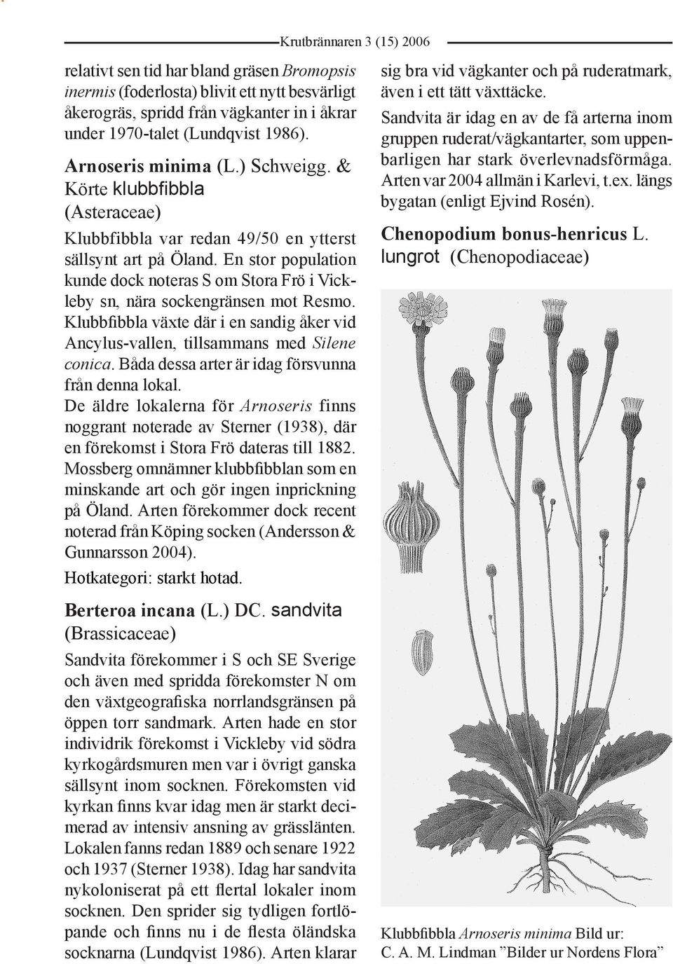 En stor population kunde dock noteras S om Stora Frö i Vickleby sn, nära sockengränsen mot Resmo. Klubbfibbla växte där i en sandig åker vid Ancylus-vallen, tillsammans med Silene conica.
