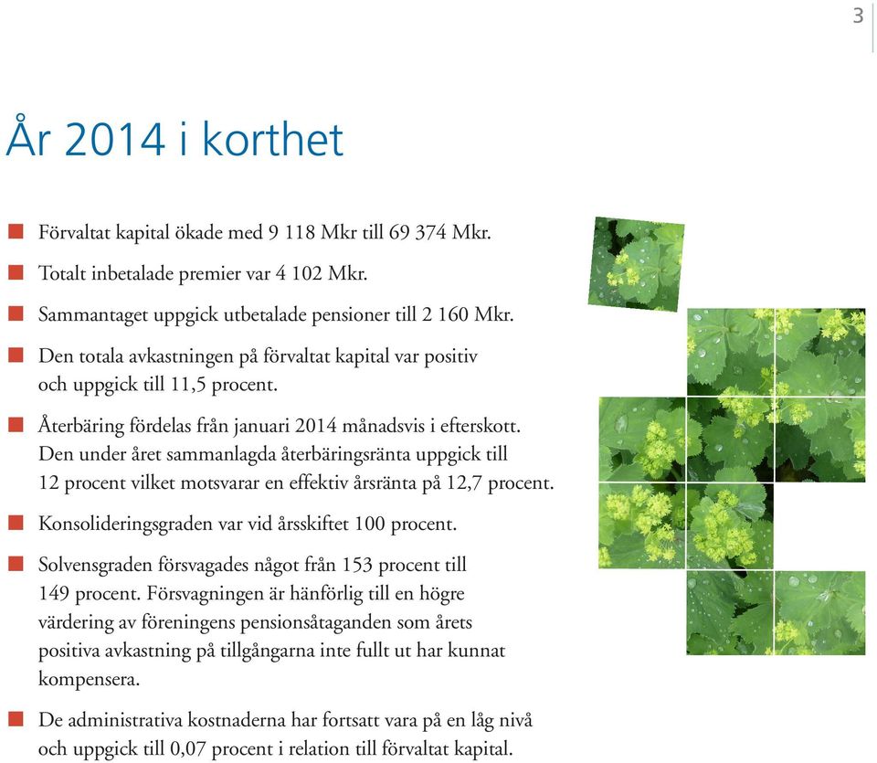 Den under året sammanlagda återbäringsränta uppgick till 12 procent vilket motsvarar en effektiv årsränta på 12,7 procent. Konsolideringsgraden var vid årsskiftet 100 procent.