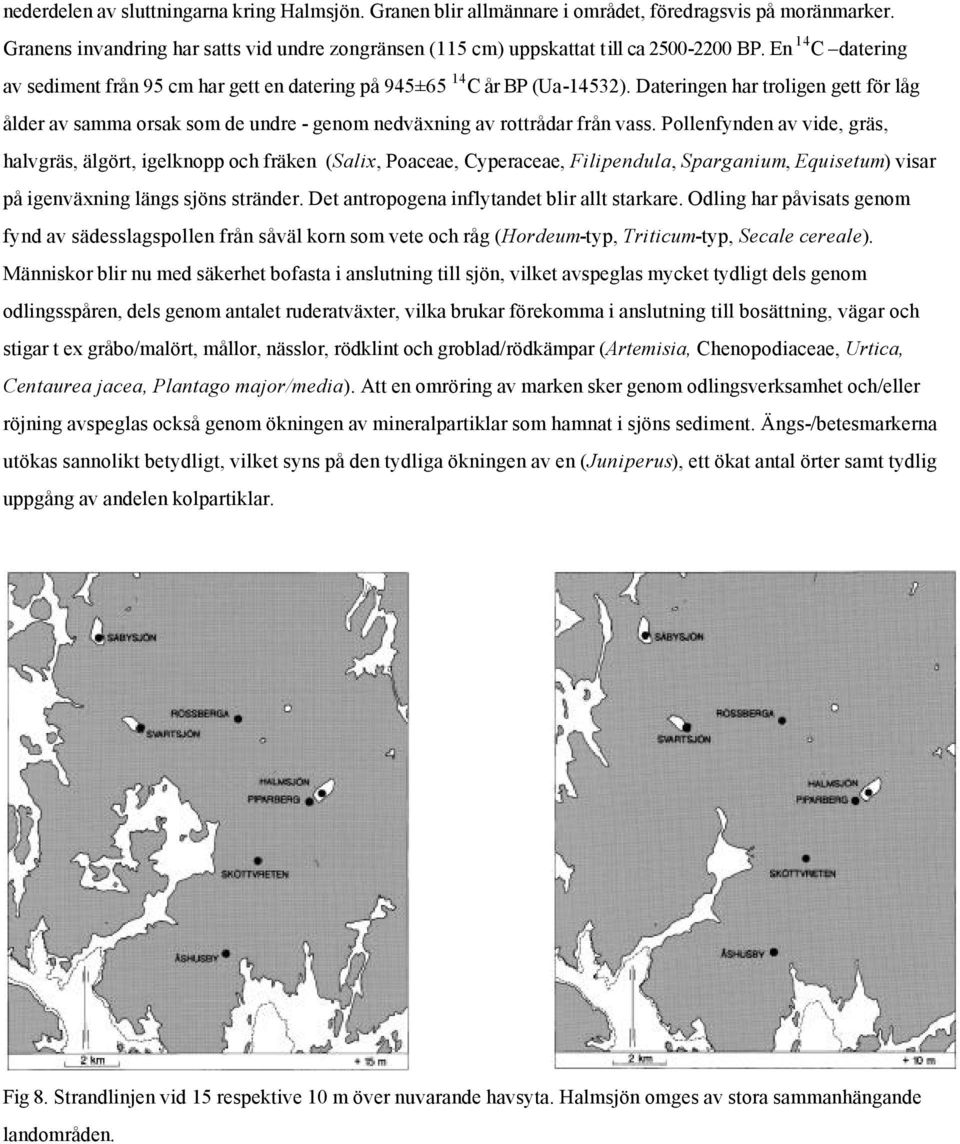 Dateringen har troligen gett för låg ålder av samma orsak som de undre - genom nedväxning av rottrådar från vass.