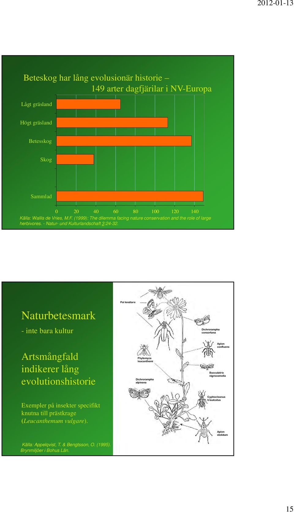 Naturbetesmark Pol lenätare - inte bara kultur Dichrorampha consortana Artsmångfald indikerer lång evolutionshistorie Phytomyza leucanthemi Dichrorampha alpinana Apion