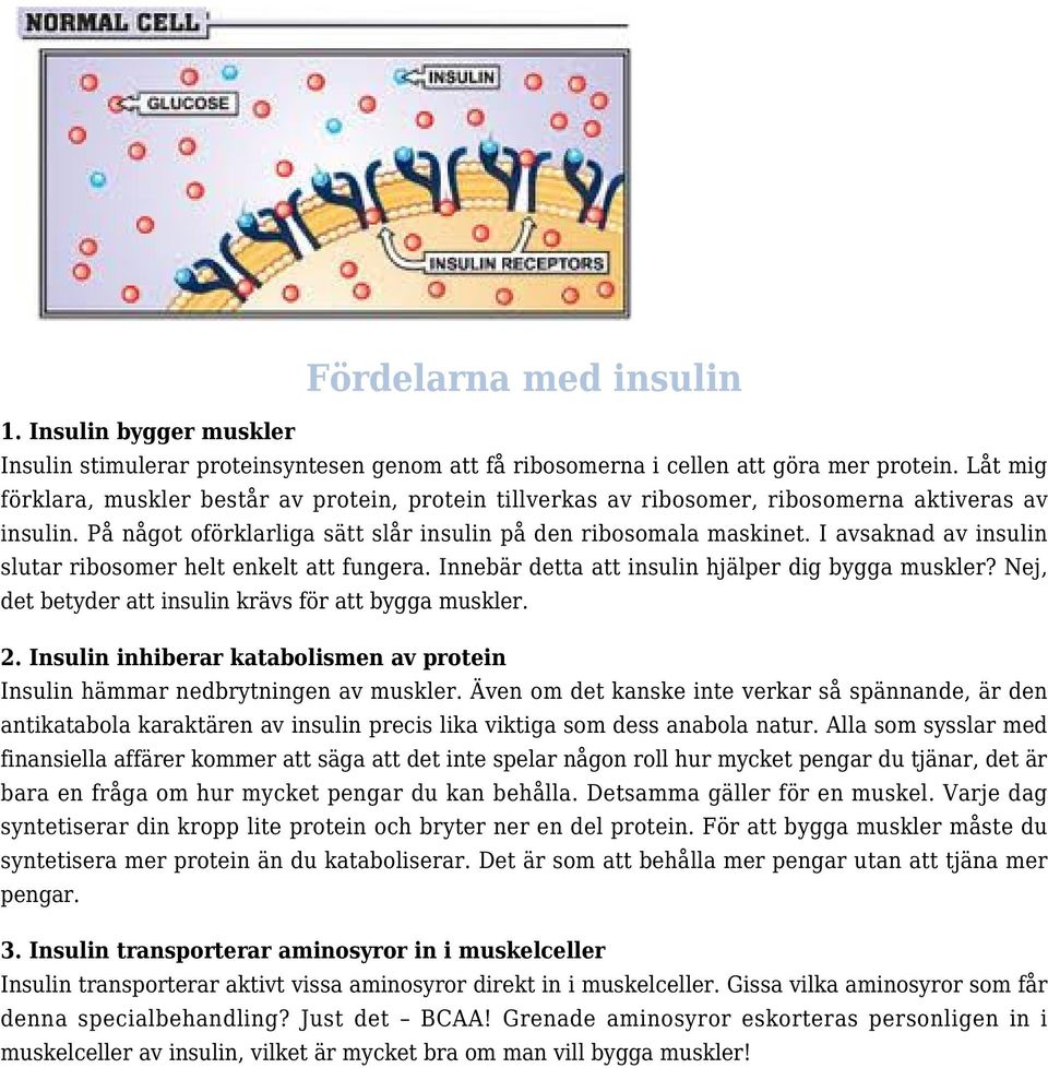 I avsaknad av insulin slutar ribosomer helt enkelt att fungera. Innebär detta att insulin hjälper dig bygga muskler? Nej, det betyder att insulin krävs för att bygga muskler. 2.