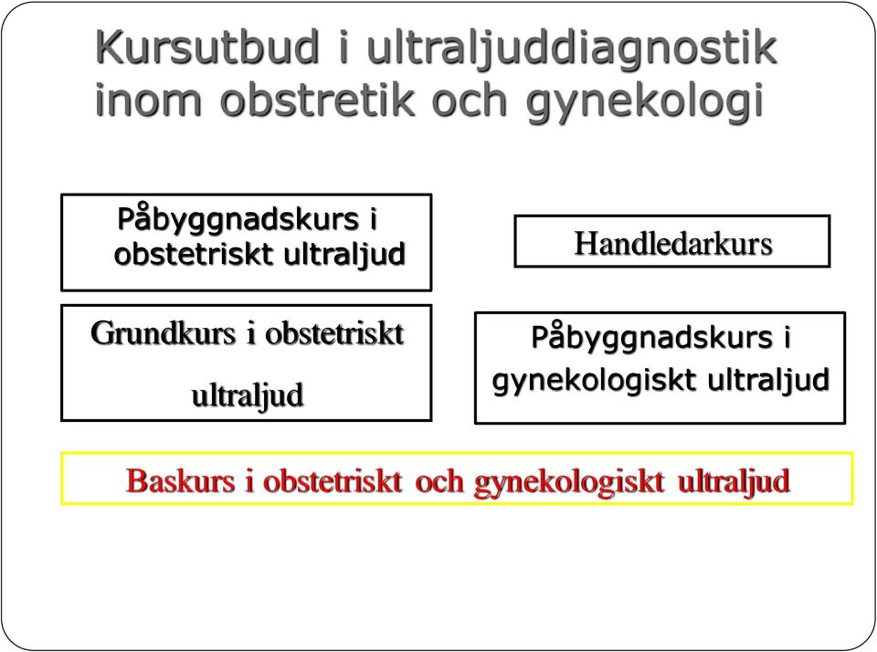 Handledarkurs Grundkurs i obstetriskt ultraljud