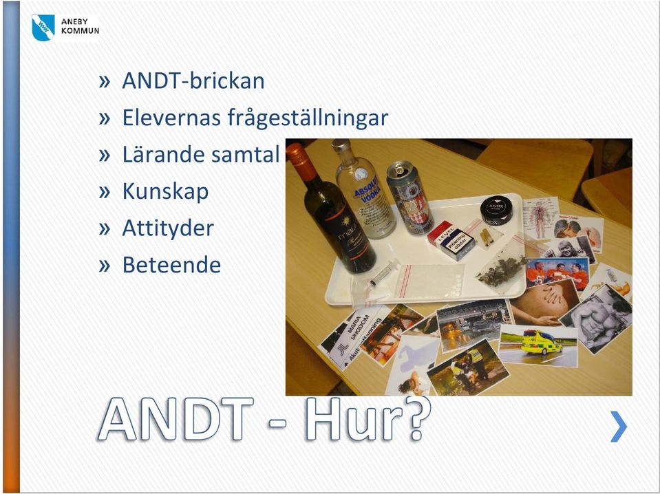 frågeställningar