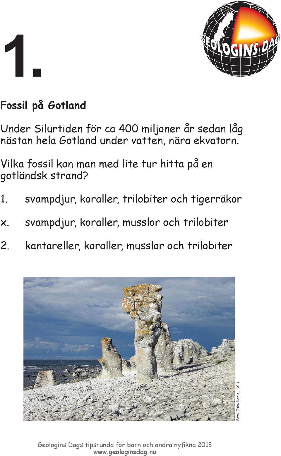 Vilka fossil kan man med lite tur hitta på en gotländsk strand? 1.