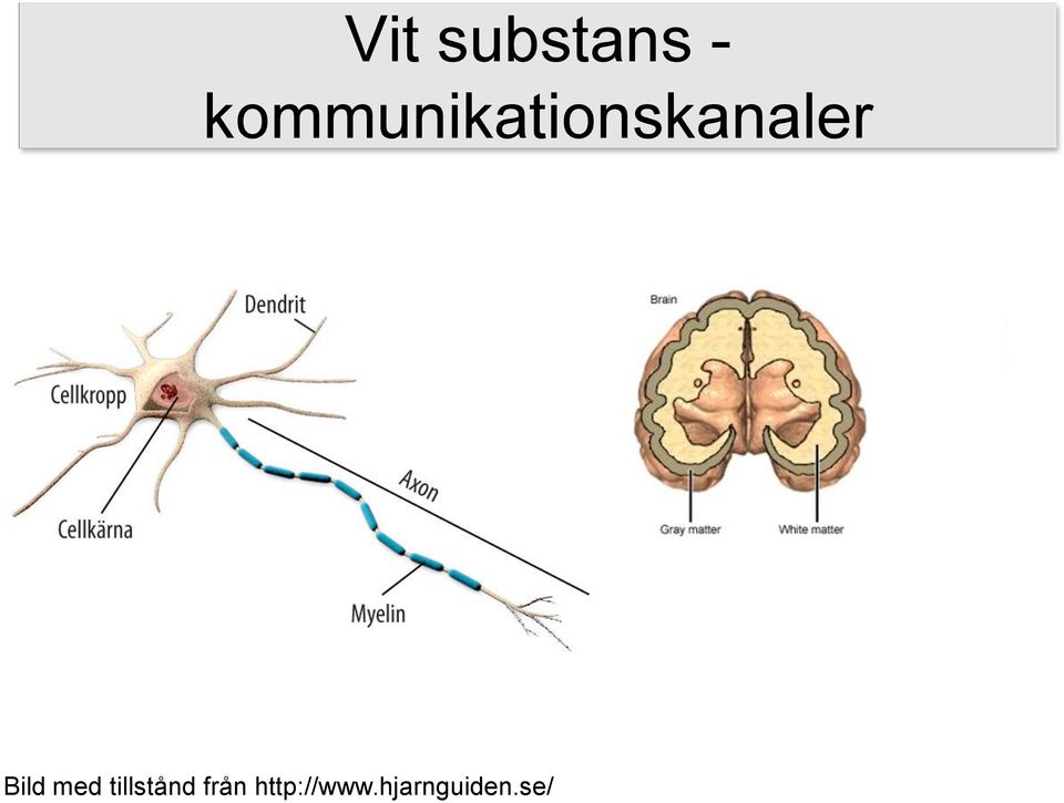 Bild med tillstånd