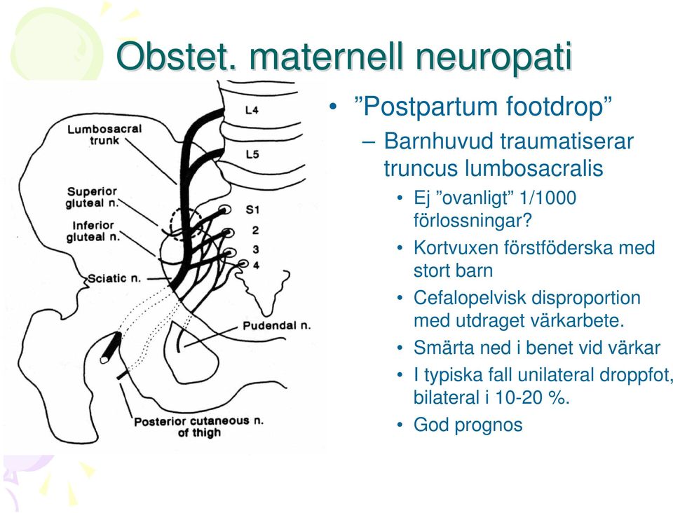 lumbosacralis Ej ovanligt 1/1000 förlossningar?