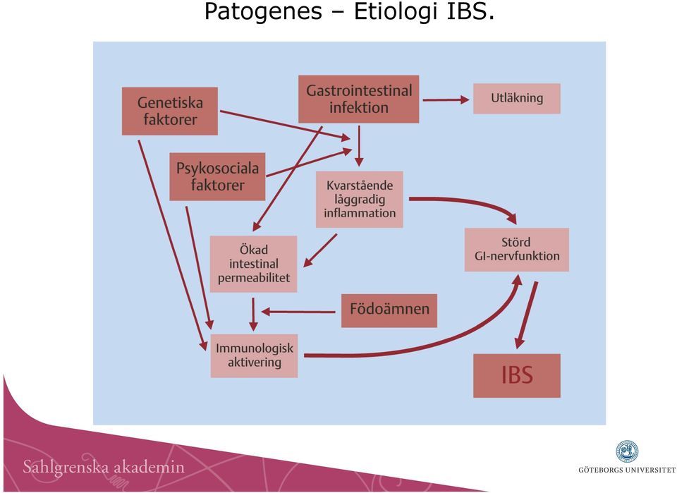 IBS.