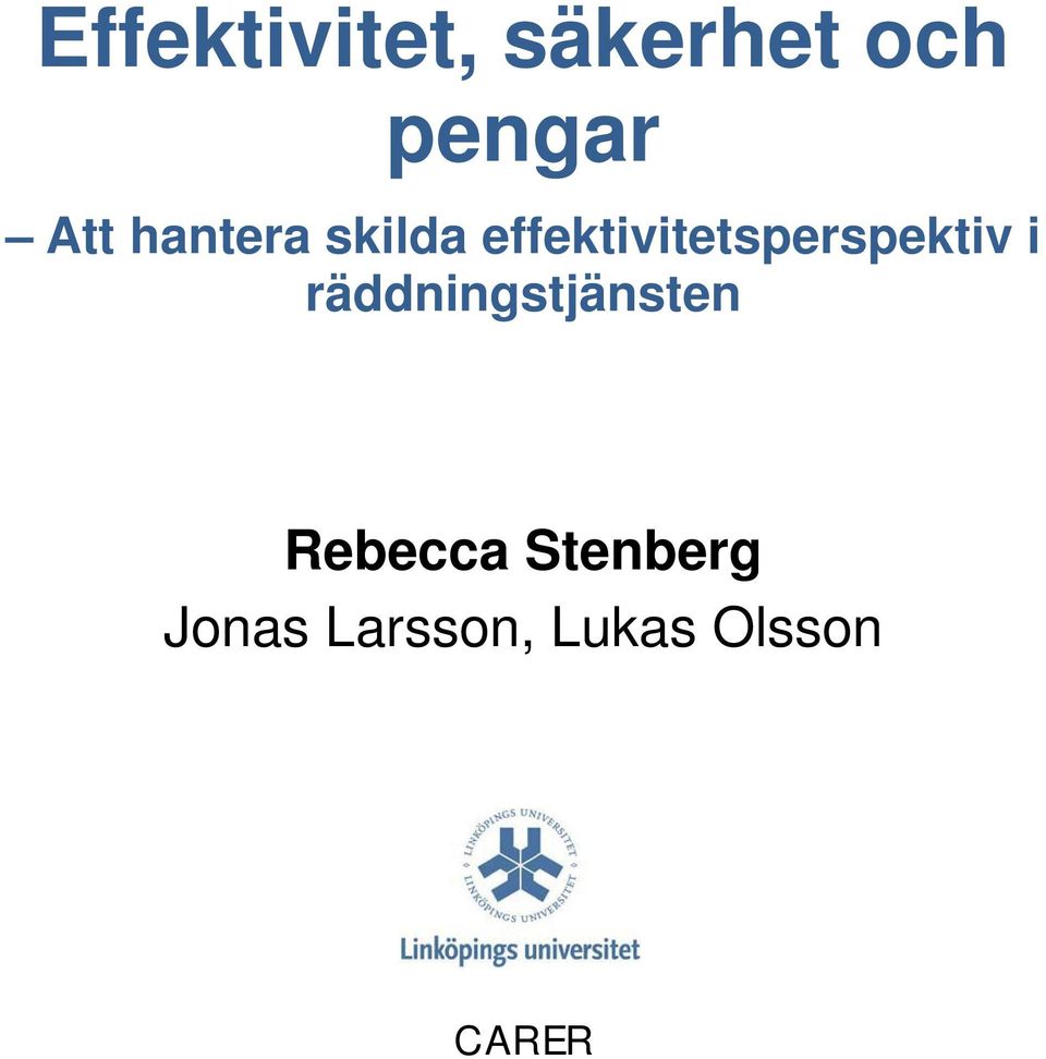 effektivitetsperspektiv i