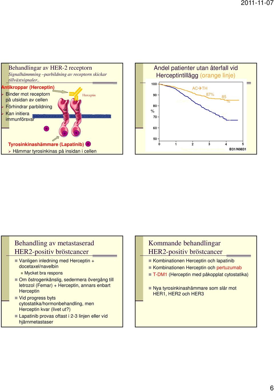 AC TH 87% 75 % 85 % 67 % Tyrosinkinashämmare (Lapatinib) Hämmar tyrosinkinas på insidan i cellen Years From Randomization B31/N9831 Behandling av metastaserad itiv bröstcancer Vanligen inledning med