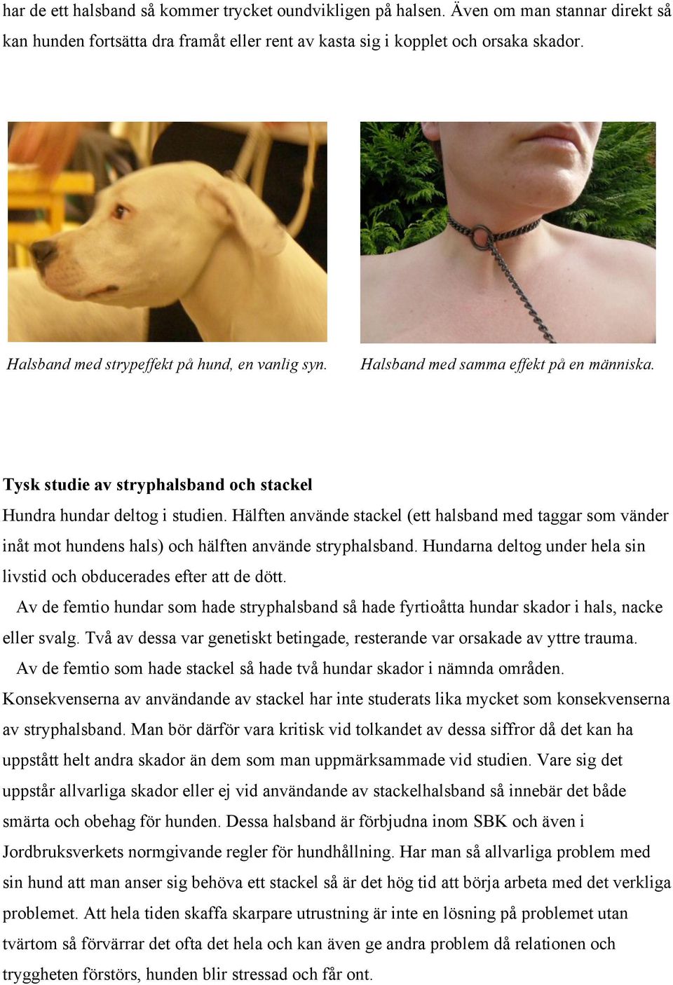 Hälften använde stackel (ett halsband med taggar som vänder inåt mot hundens hals) och hälften använde stryphalsband. Hundarna deltog under hela sin livstid och obducerades efter att de dött.