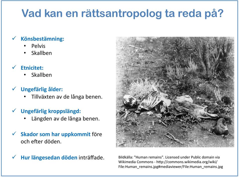 ü Ungefärlig kroppslängd: Längden av de långa benen. ü Skador som har uppkommit före och e'er döden.