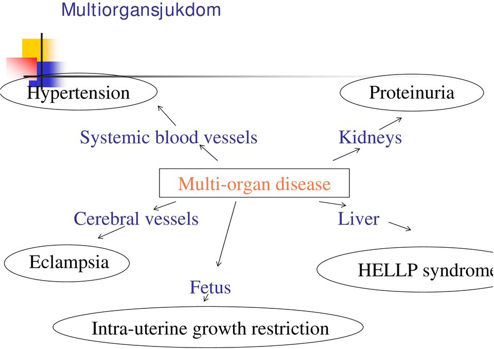Multi-organ disease Cerebral vessels Liver