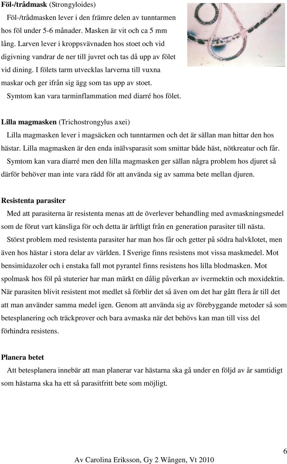 I fölets tarm utvecklas larverna till vuxna maskar och ger ifrån sig ägg som tas upp av stoet. Symtom kan vara tarminflammation med diarré hos fölet.