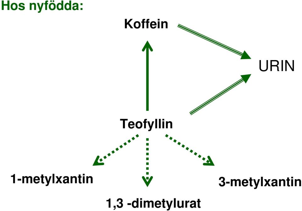 Teofyllin