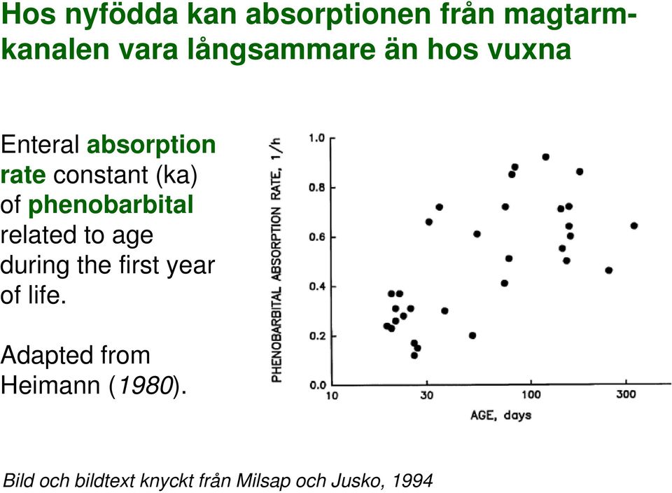 phenobarbital related to age during the first year of life.