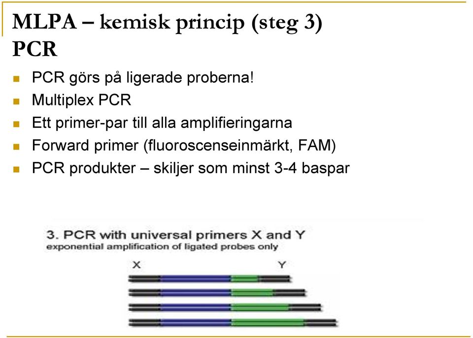 Multiplex PCR Ett primer-par till alla