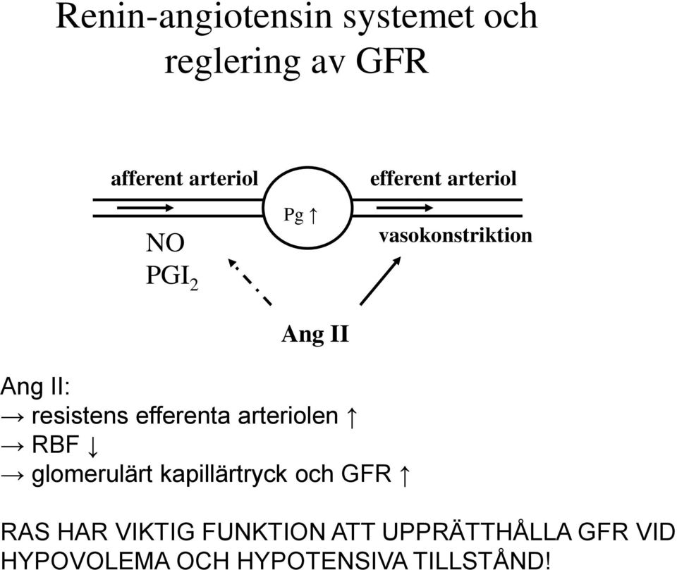 efferenta arteriolen RBF glomerulärt kapillärtryck och GFR RAS HAR