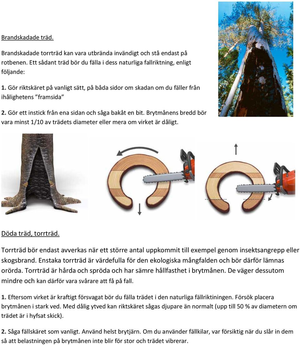 Brytmånens bredd bör vara minst 1/10 av trädets diameter eller mera om virket är dåligt. Döda träd, torrträd.