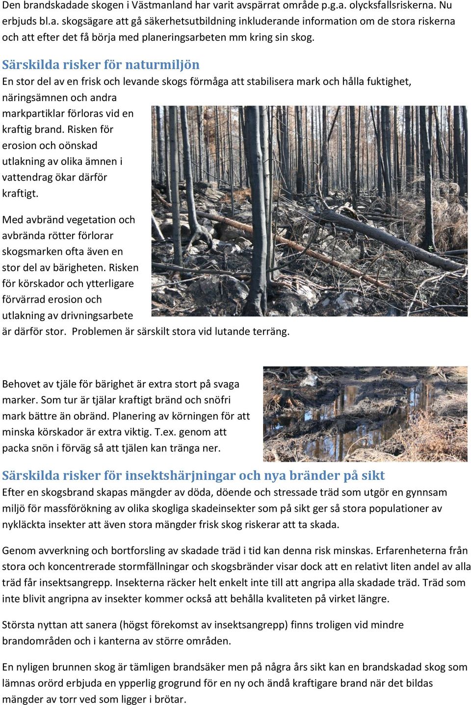 Risken för erosion och oönskad utlakning av olika ämnen i vattendrag ökar därför kraftigt. Med avbränd vegetation och avbrända rötter förlorar skogsmarken ofta även en stor del av bärigheten.