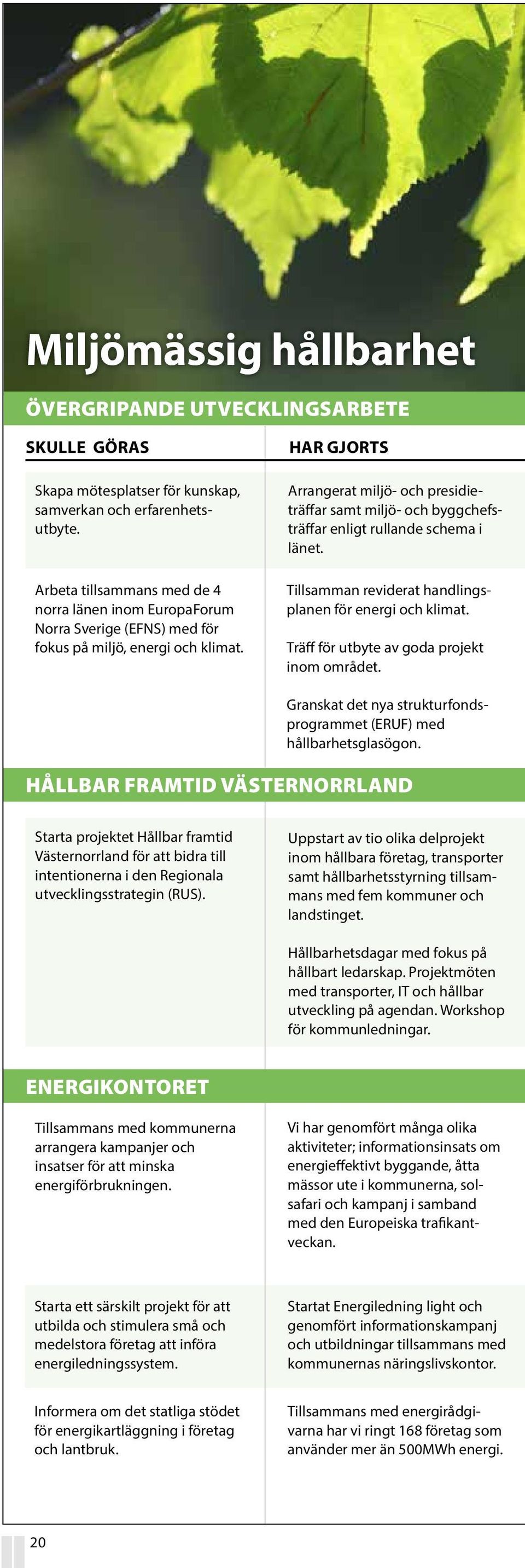 HAR GJORTS Arrangerat miljö- och presidieträffar samt miljö- och byggchefsträffar enligt rullande schema i länet. Tillsamman reviderat handlingsplanen för energi och klimat.