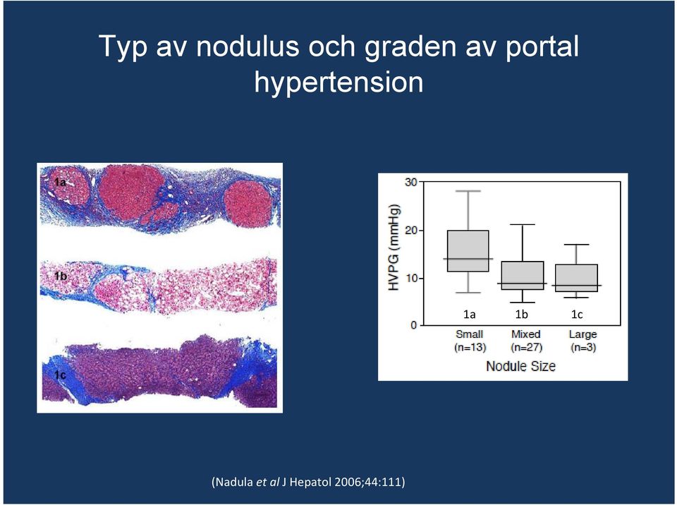 hypertension 1a 1b 1c