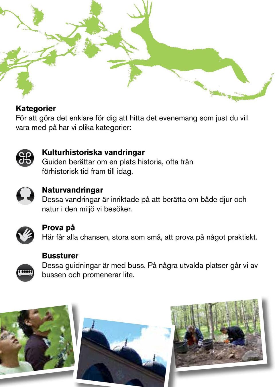 Naturvandringar Dessa vandringar är inriktade på att berätta om både djur och natur i den miljö vi besöker.