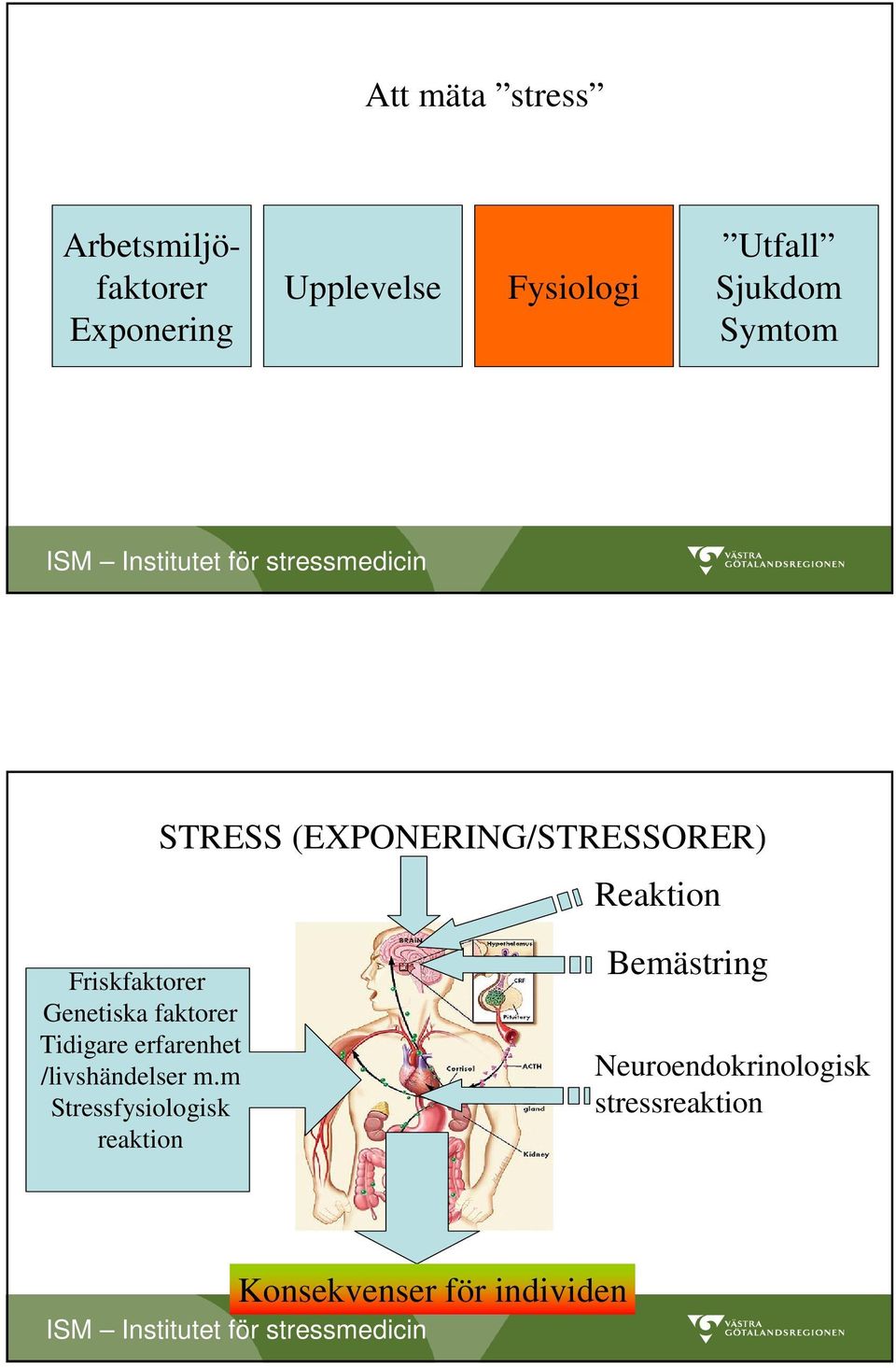 Genetiska faktorer Tidigare erfarenhet /livshändelser m.