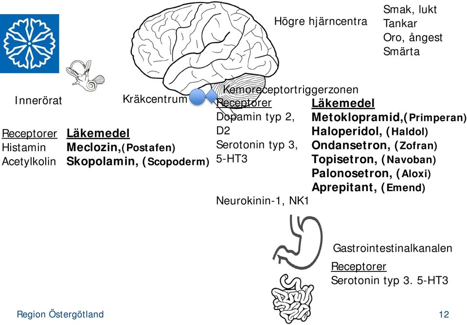 Metoklopramid,(Primperan) D2 Haloperidol, (Haldol) Serotonin typ 3, Ondansetron, (Zofran) 5-HT3 Topisetron,