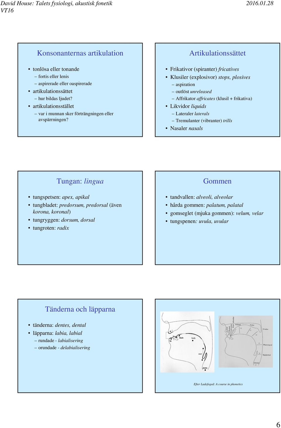 Artikulationssättet Frikativor (spiranter) fricatives Klusiler (explosivor) stops, plosives aspiration outlöst unreleased Affrikator affricates (klusil + frikativa) Likvidor liquids Lateraler